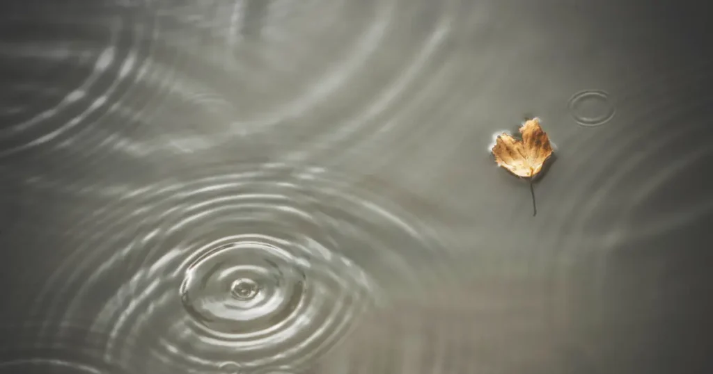 Hoja flotando sobre el agua con ondas suaves, simbolizando apoyo, autonomía y la posibilidad de acompañar sin controlar el resultado.